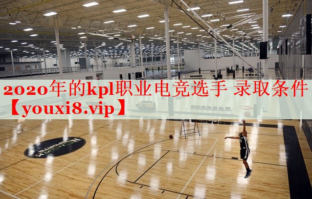 2020年的kpl职业电竞选手 录取条件 2020年的kpl职业电竞选手 录取条件