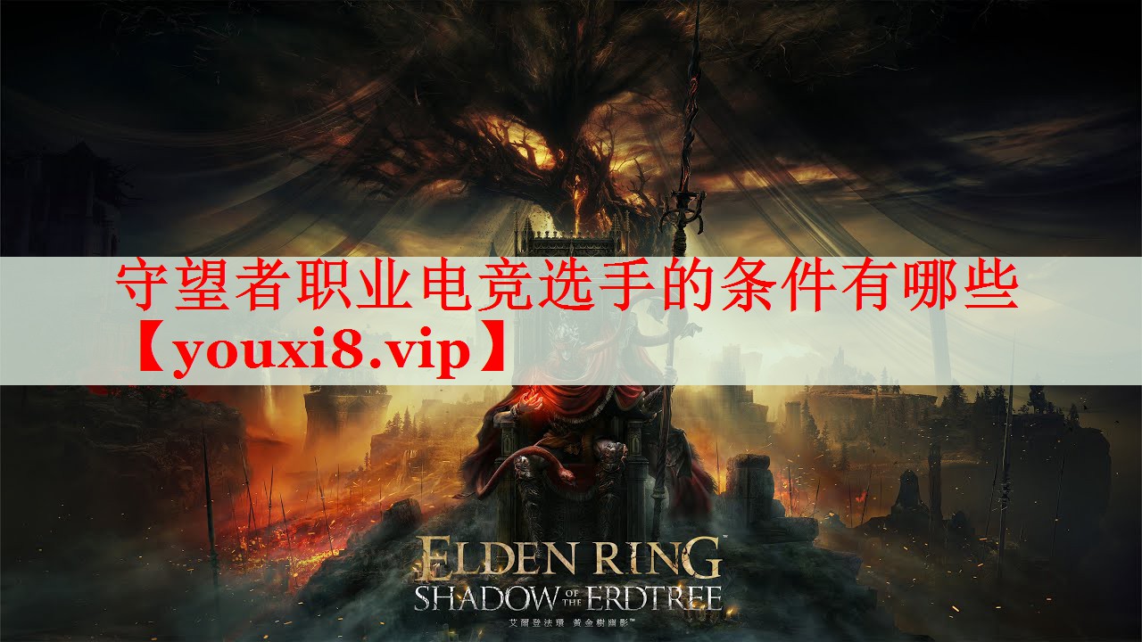 守望者职业电竞选手的条件有哪些 守望者职业电竞选手的条件有哪些