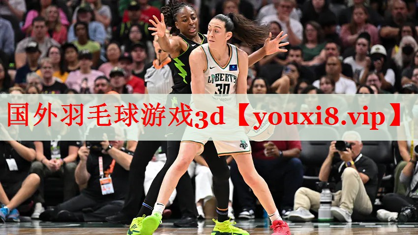国外羽毛球游戏3d 国外羽毛球游戏3d
